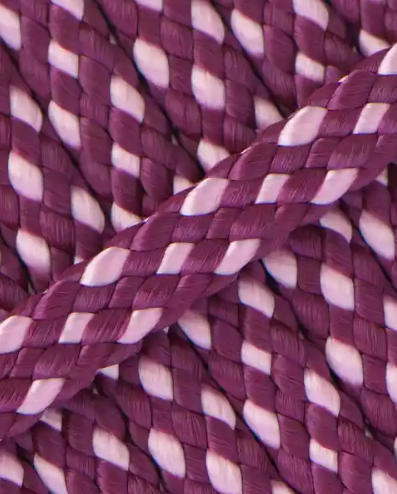 2,5 meter (gemengde kleuren)